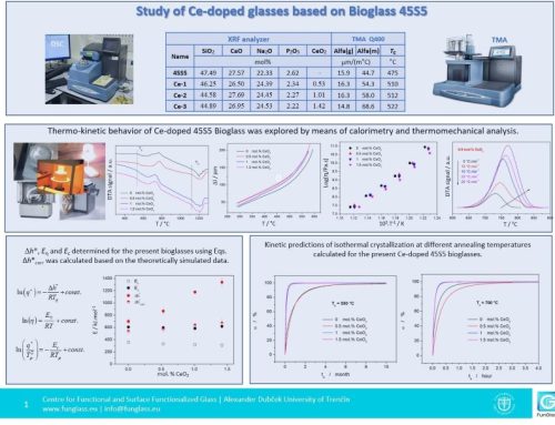 Comprehensive Investigation of Composition, Structure, and Properties of Bio-Glasses: Achievements and Contributions of VEGA Project No. 2/0091/20