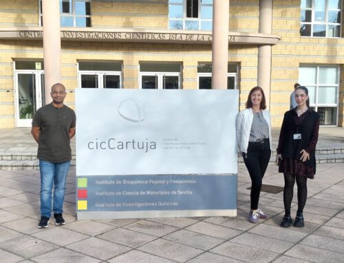 Research Stay of Dr. Harshit Tripathi at ICMS, Seville