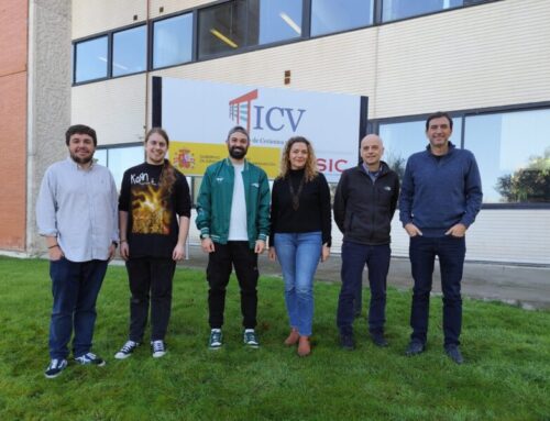 Strengthening International Collaboration in SOFC Research