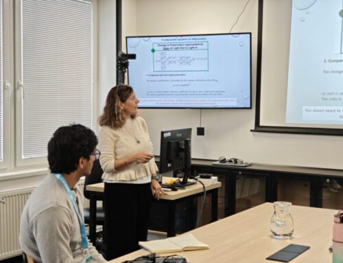 Ellipsometry Training Course with Dr. Mª Yolanda Castro